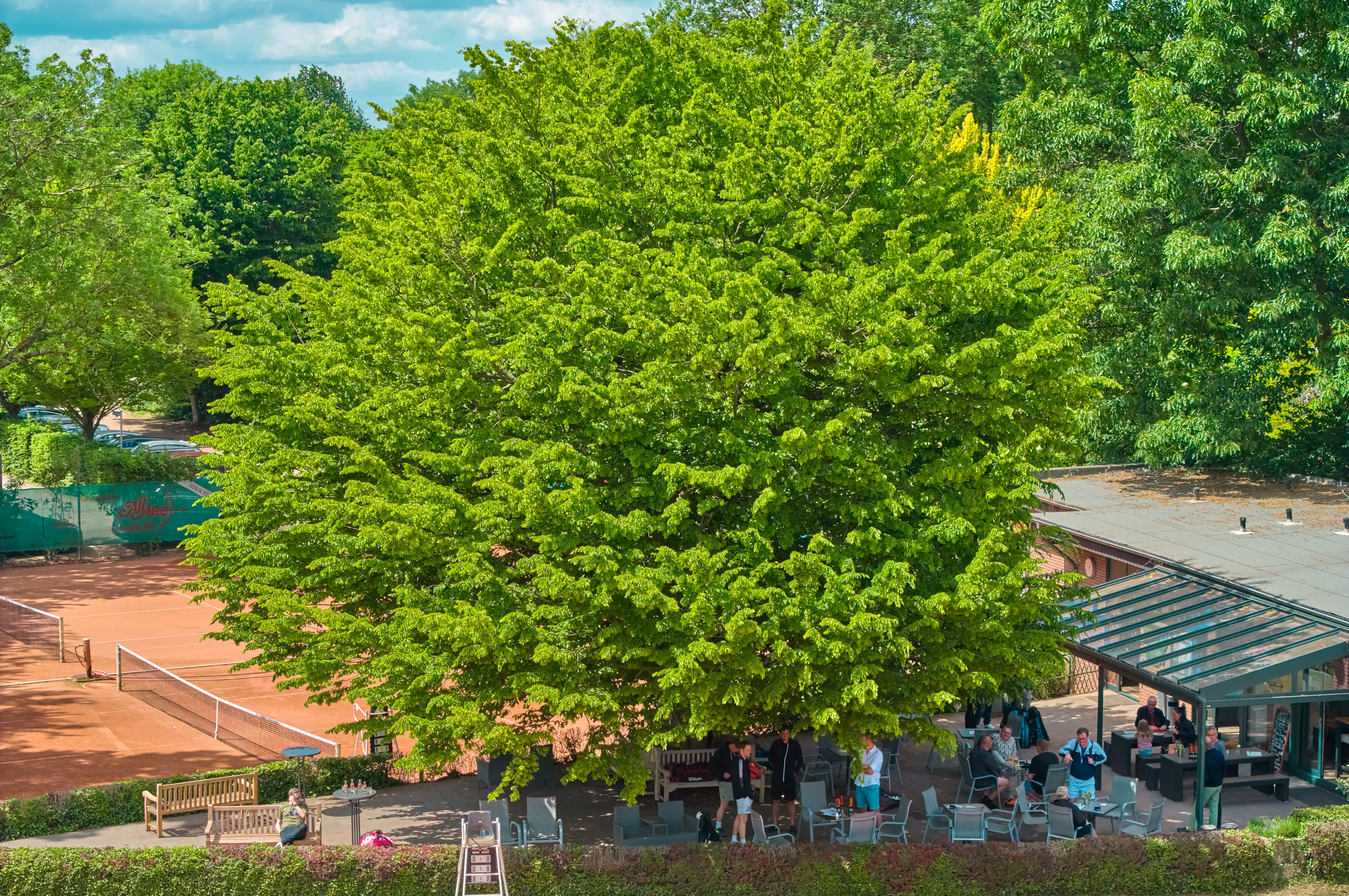 Gro&szlig;er Baum mit dichtem Laub, darunter eine Terrasse mit Menschen, daneben ein Geb&auml;ude mit einem Dach. Im Hintergrund sind Tennispl&auml;tze und weitere B&auml;ume sichtbar.