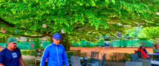 Mehrere Personen sitzen und stehen in einem Au&szlig;enbereich mit Tischen und St&uuml;hlen unter einem gro&szlig;en Baum mit dichtem Laub.