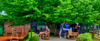Eine Gruppe von Menschen sitzt auf Holzb&auml;nken unter einem gro&szlig;en Baum in einem Gartenbereich.