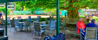 Eine Gruppe von Menschen sitzt an Tischen im Freien unter einem gro&szlig;en Baum, umgeben von Gartenm&ouml;beln und einem gr&uuml;nen Zaun.